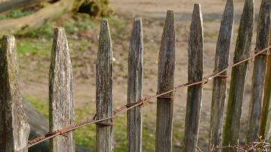 fence-repair-vs.-fence-replacement:-making-the-right-choice-for-your-property